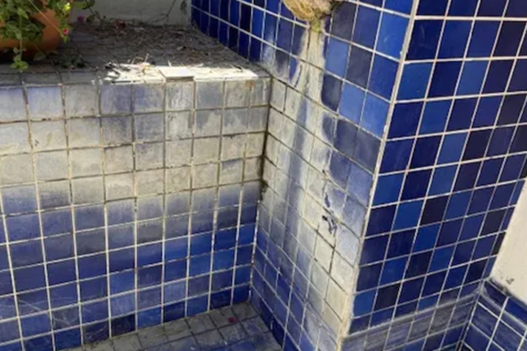 Close-up of a corner with blue tiled wall, showing dirt, discoloration, and a plant pot beside it, highlighting wear and tear